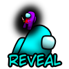 Reveal (Odkryj)